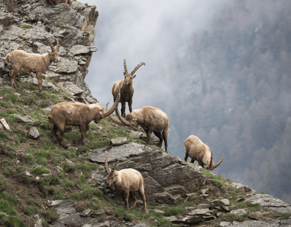 112 menu de nhat duong chi 6.png