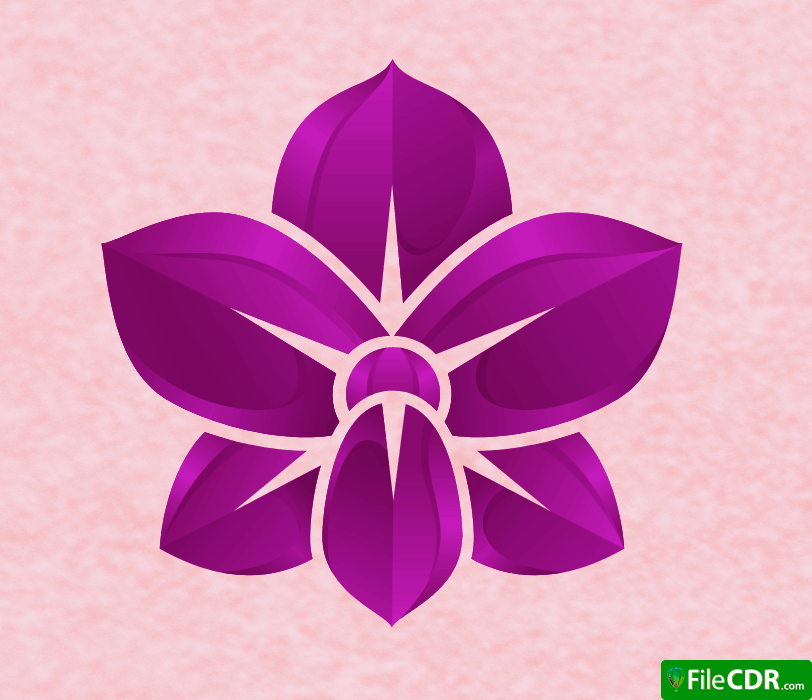 373 lan ho diep thuong hang tinh hoa da lat tai thanh hoa 5.png