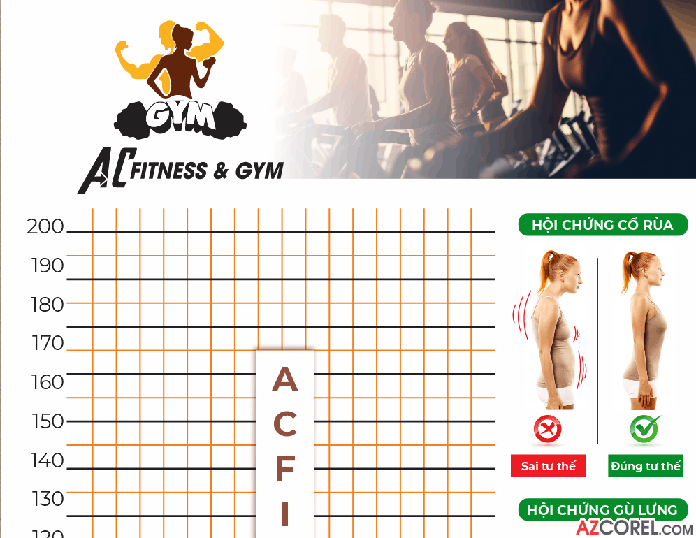 272 demo poster kien thuc ve xuong gym 2.png