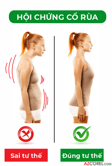 272 demo poster kien thuc ve xuong gym 6.png