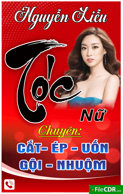 370 bien bay toc nguyen lieu 2.png