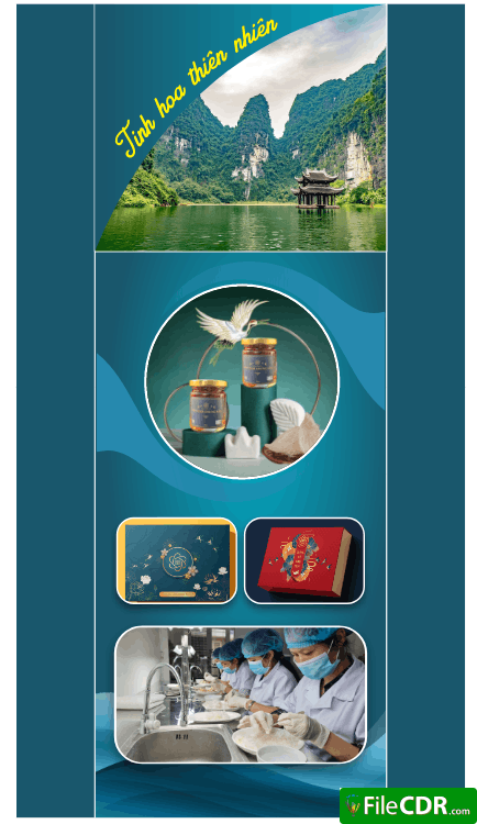 424 cong ty yen sao trang an 2.png